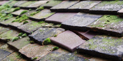 Broadway roof repair costs